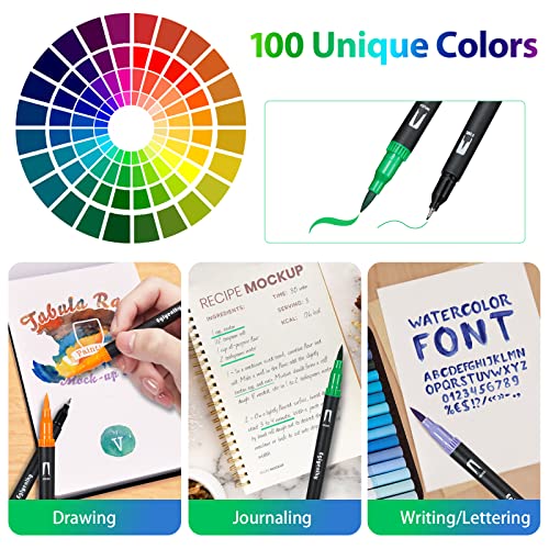 Dual Brush Pens (100 Count)