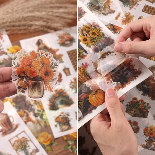 Scrapbook Stickers 20 Sheets 240 Pre