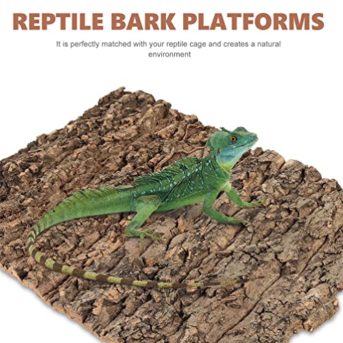 Cork Bark 3Pcs Plants Decor Cork Terrarium Background Decorative Tree Bark Adornment Reptile Climbing Plaything for Gecko Lizard Tortoise Frog Bearded Dragon Tank Access
