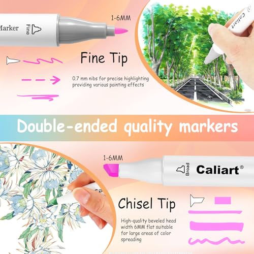 Pastel Alcohol Markers 61 Colors Fine & Chisel Dual Tip Art Markers (61 Count)
