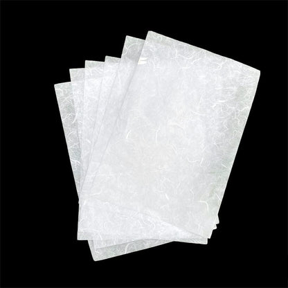 50 Sheets A4 Natural Fiber Mulberry Tree Mulberry Paper Sheets Art Tissue Washi Paper Design Craft Art Origami Suppliers Card Making DIY Crafts (White Color, A4)