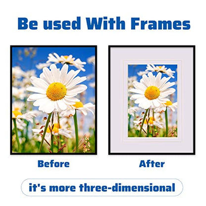 10 Pack Acid Free White Picture Frame Mats