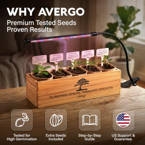 Bonsai Tree Kit Deluxe + Growing Light