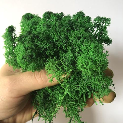 Preserved Reindeer Craft Moss Natural Green DIY Kit Gardenning Art Wall Decor Florist Easter Table Decor Wedding Decor