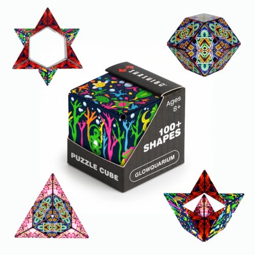DODECA Magnetic Puzzle Cube