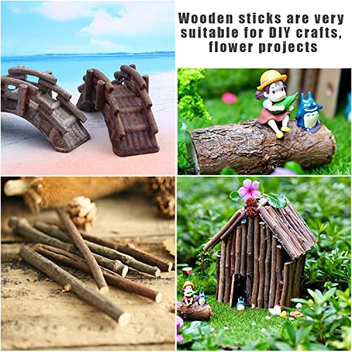 100 PCS Craft Sticks (100 Count)