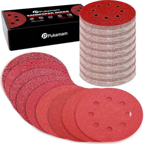 170 Pcs 5 inch Sanding Discs 40 (170 Count)