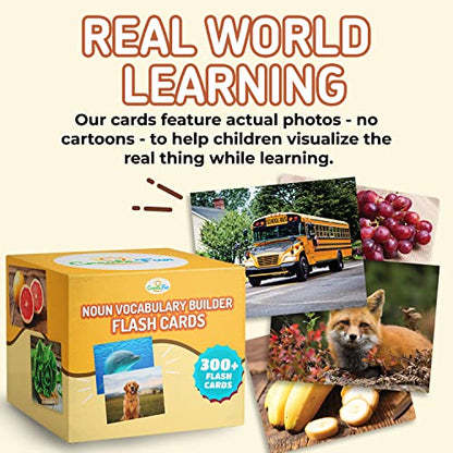 300 Noun Vocabulary Builder Flash Cards for Speech Therapy & ESL