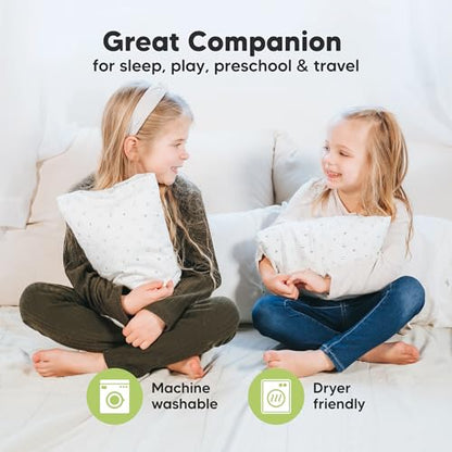 Mini Toddler Pillow with Pillowcase