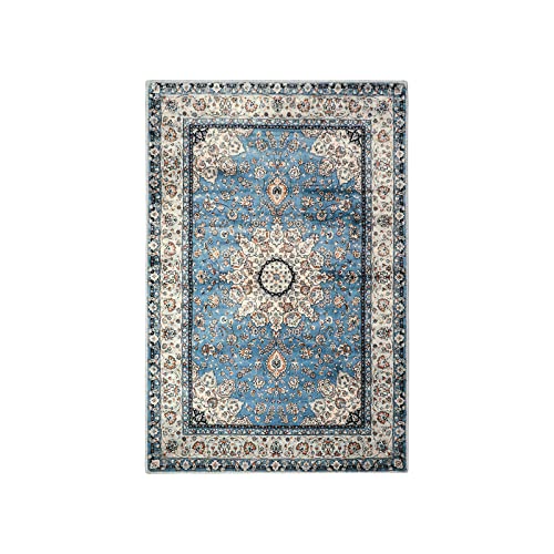 Felice Oriental Floral Medallion Area Rug (6 Sq Ft)