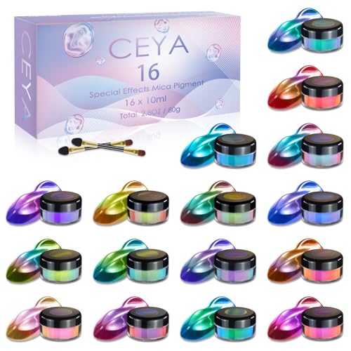 Chameleon Mica Powder Set 16 Colors (2.82 Ounce)