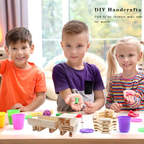 Wood Craft Sticks (100 Count)