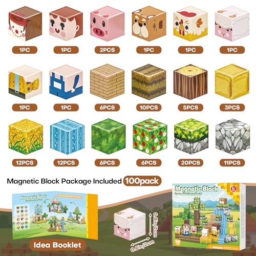 100pcs Magnetic Blocks (100 Count)