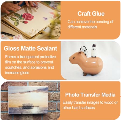 Crafts Sealer Gloss Matte Finish (13.5256 Fl Oz)