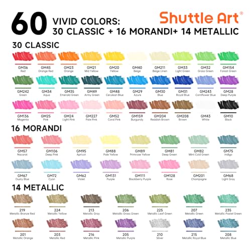 60 Colors Brush & Fine Tip Acrylic Paint Markers (60 Count)
