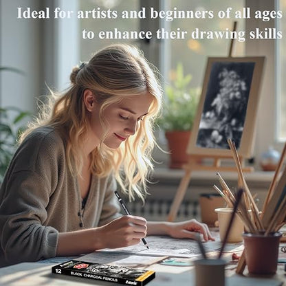 Charcoal Pencils for Drawing
