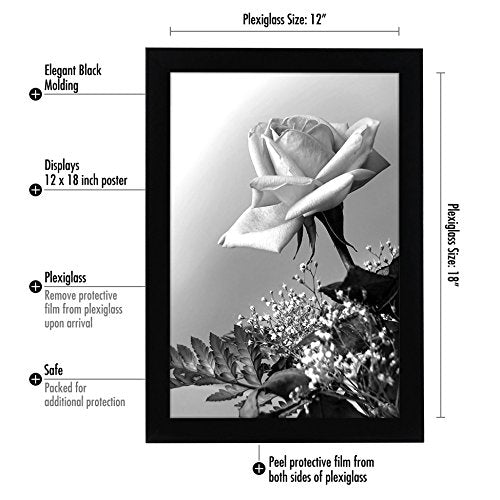 12x18 Poster Frame