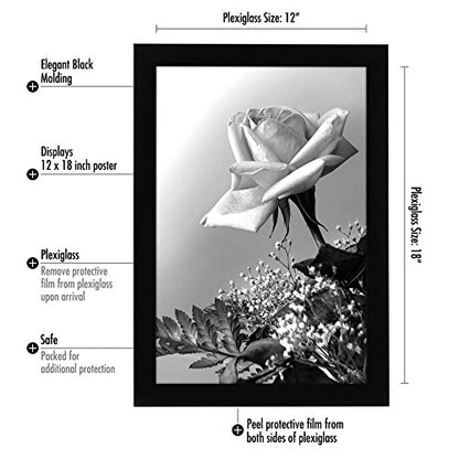 12x18 Poster Frame