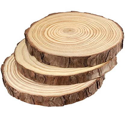 6 PCS 8 10 Inches Natural Unfinished Wood Slices (6 Count)
