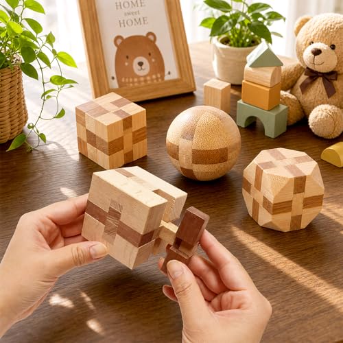 4 Pack Wooden Puzzle Brain Teasers Toy for Kids 3D Puzzles for Teens (4 Count)