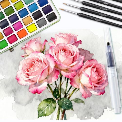 50 Colors Watercolor Paint Set (50 Count)