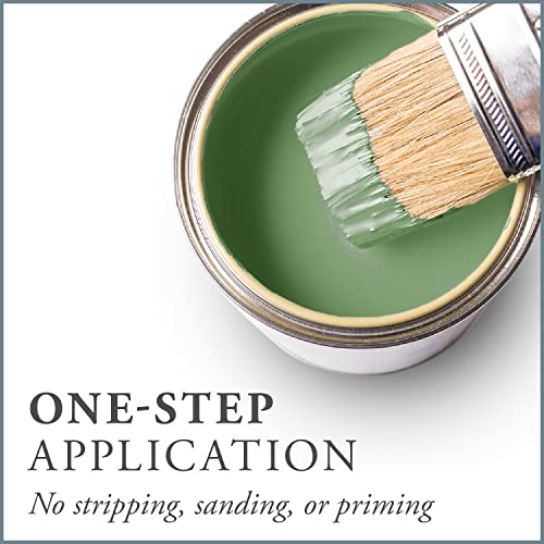 Chalk Based One Step Paint for Furniture (16 Fl Oz)