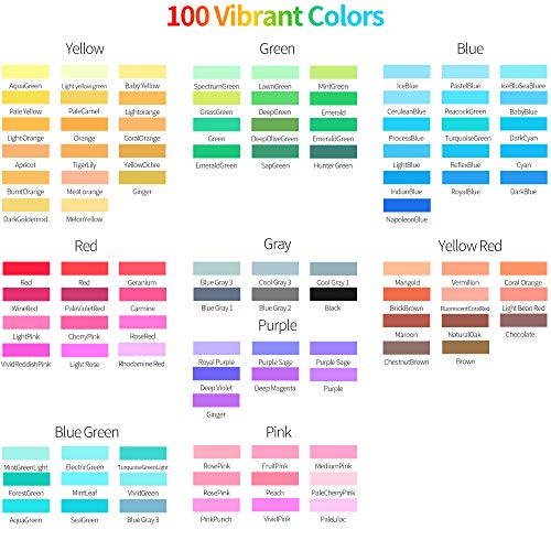 ZSCM 100 Colors Duo Tip Brush Markers Art Pen Set (100 Count)