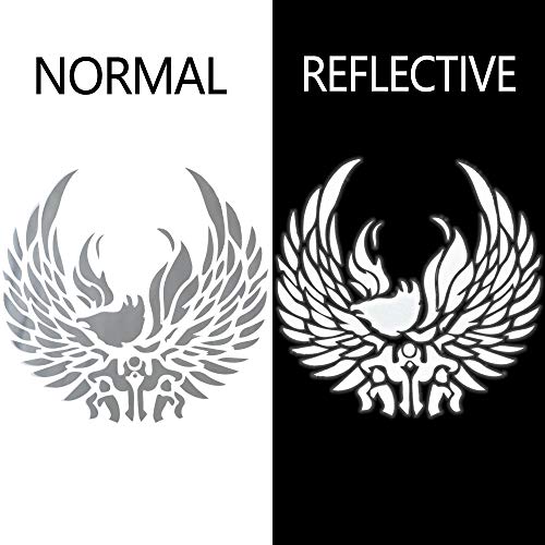 RENLITONG Reflective HTV Iron on Vinyl 12Inch by 10ft Roll Heat Transfer Vinyl for T (10 Foot)
