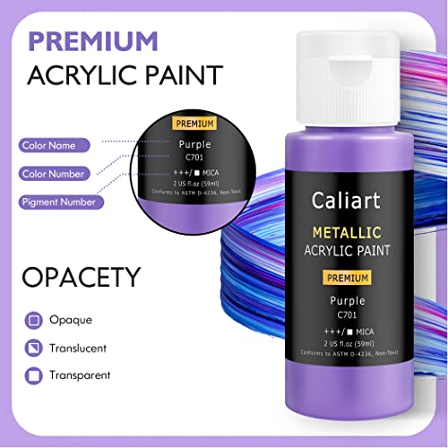24 Colors Acrylic Metallic Paint Set with 12 Brushes (48 Fl Oz)