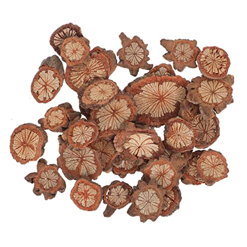 Wood Slices Small Unfinished Wood Natural Tree Bark Irregular Log Slices for Crafts Arts Table Centerpieces Decoration