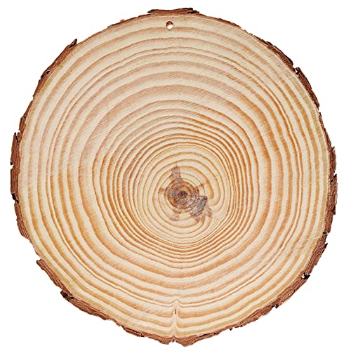 12 PCS 5.5 5.9 Inches Natural Wood Slices with Holes (12 Count)