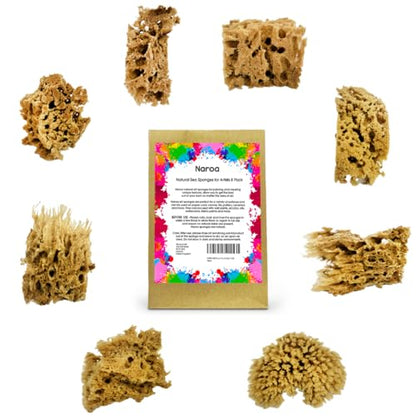 Artist Natural Sea Sponges for Painting 8 Pack (8 Count)