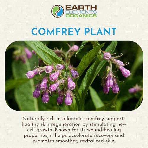 Comfrey Body Oil Raw