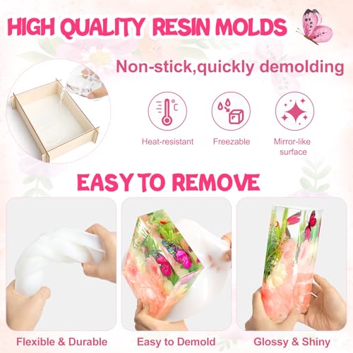 6PCS Large Resin Molds Silicone (6 Count)