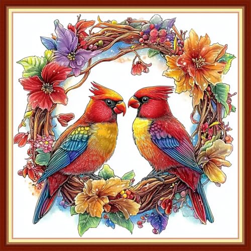 Cross Stitch Kits for Beginners Stamped Cross