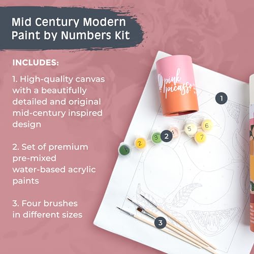 Paint by Number Kit