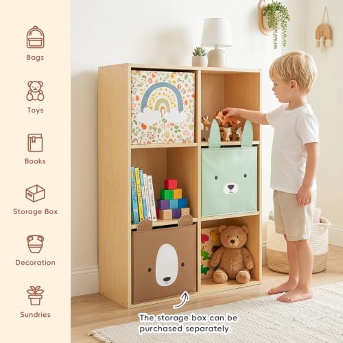 6 Cube Storage Organizer