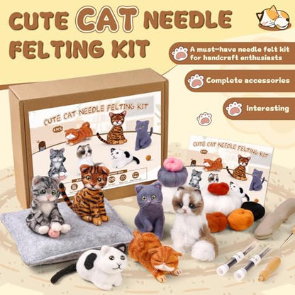 6 Pcs Needle Felting Kit