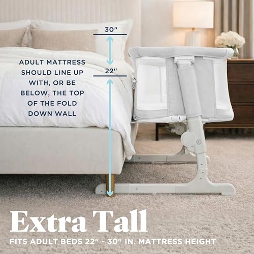 Beside Me Dreamer Bassinet