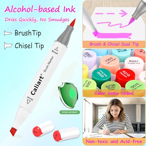 101 Colors Alcohol Markers Brush Tip Art Markers for Adult Coloring (101 Count)
