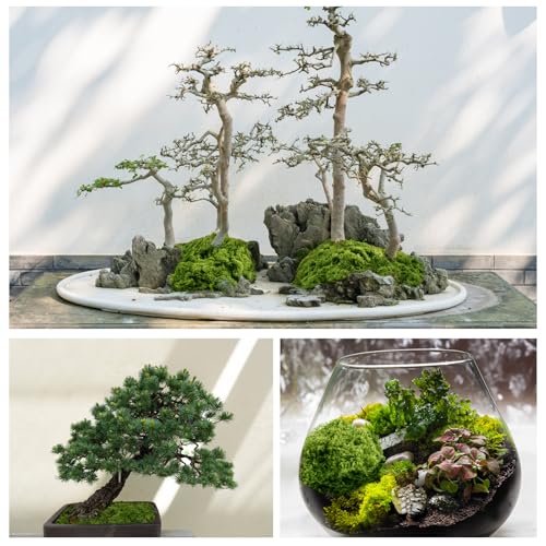 Fake Green Moss for Potted Plants
