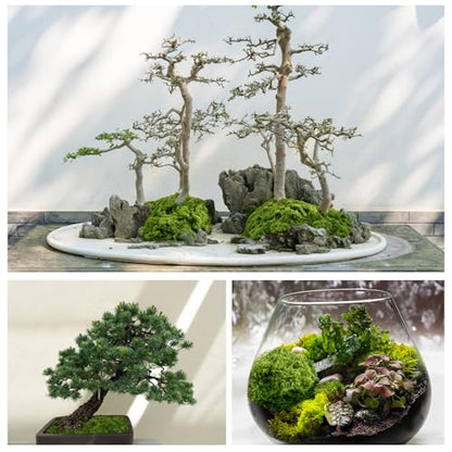 Fake Green Moss for Potted Plants