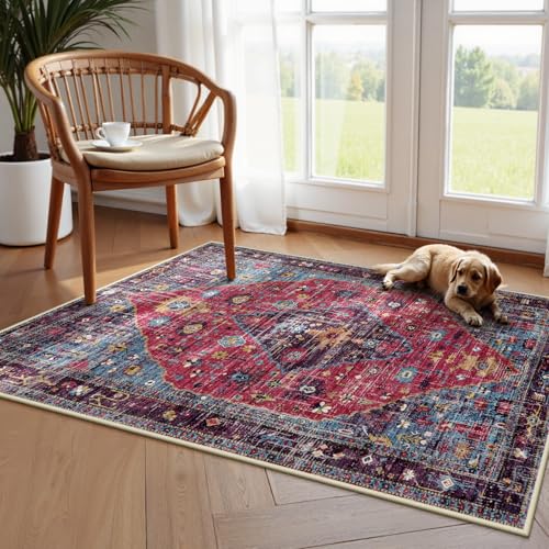 Felice Machine Washable Area Rugs 3x5