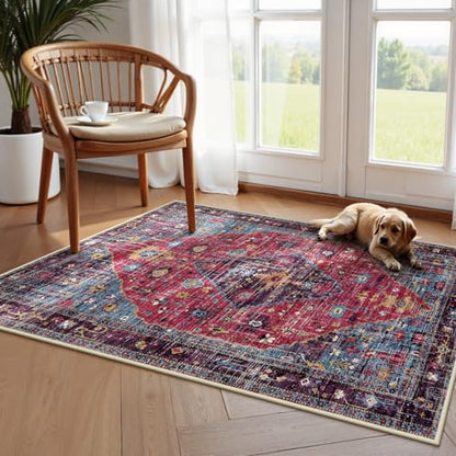 Felice Machine Washable Area Rugs 3x5