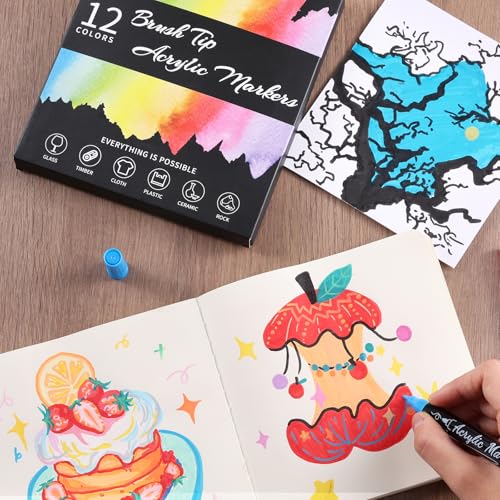 12 Colors Precision Brush & Fine Dual Tip Acrylic Paint Markers Pens (12 Count)
