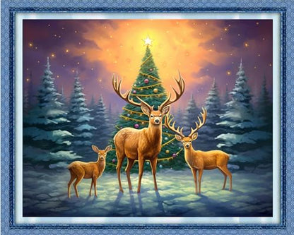 Cross Stitch Kit for Adults Beginners