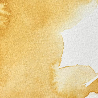 Professional Watercolor