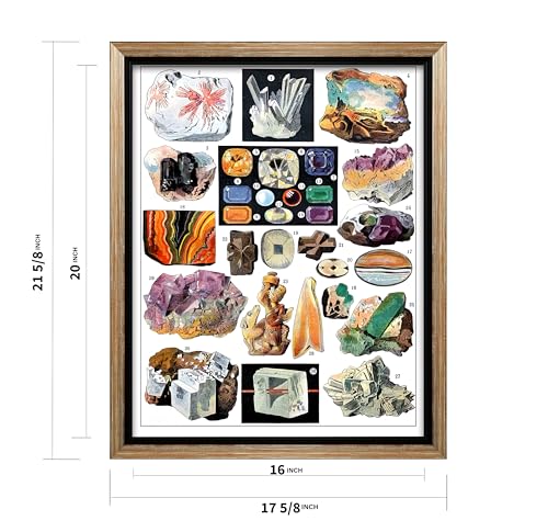 Vintage Geology Canvas