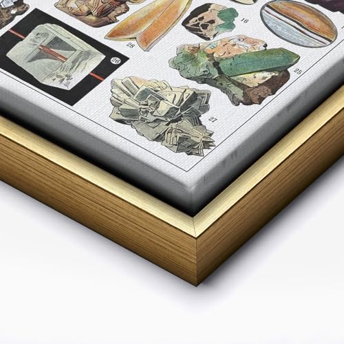 Vintage Geology Canvas