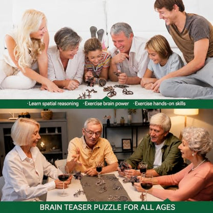 Brain Teaser Puzzles for Adults Teens Kids (13 Count)